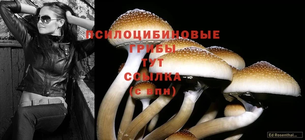 твердый Нефтегорск