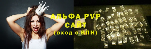 ECSTASY Бикин