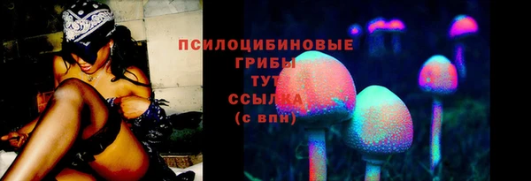 прущая мука Нея