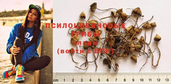 гашик Билибино