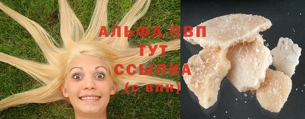 твердый Нефтегорск