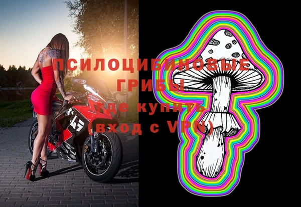 прущая мука Нея