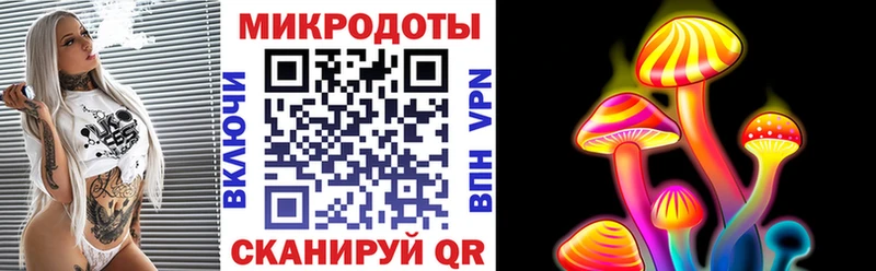 Галлюциногенные грибы Psilocybe  Тейково 