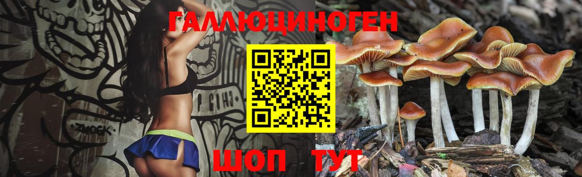 Псилоцибиновые грибы Magic Shrooms  Галлюциногенные грибы MAGIC MUSHROOMS  Тейково 